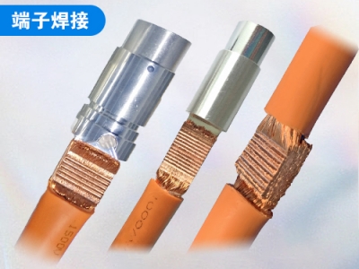 汽車(chē)線(xiàn)束與端子